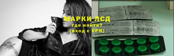 шишки Алзамай