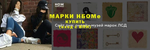 шишки Алзамай