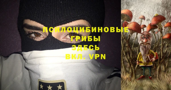 шишки Алзамай