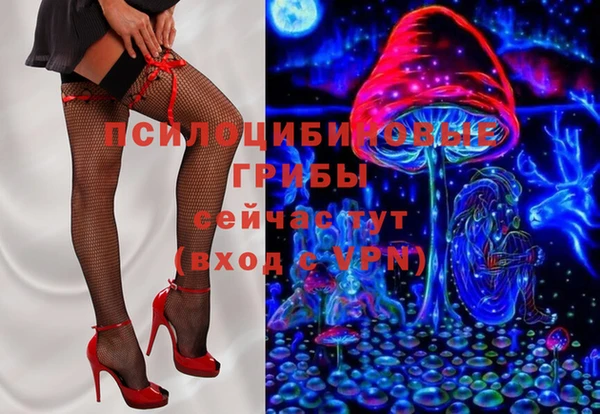 apvp Алексеевка