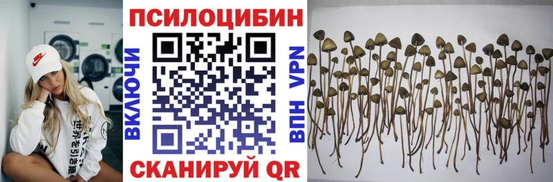 Псилоцибиновые грибы Psilocybe  hydra   Краснообск 